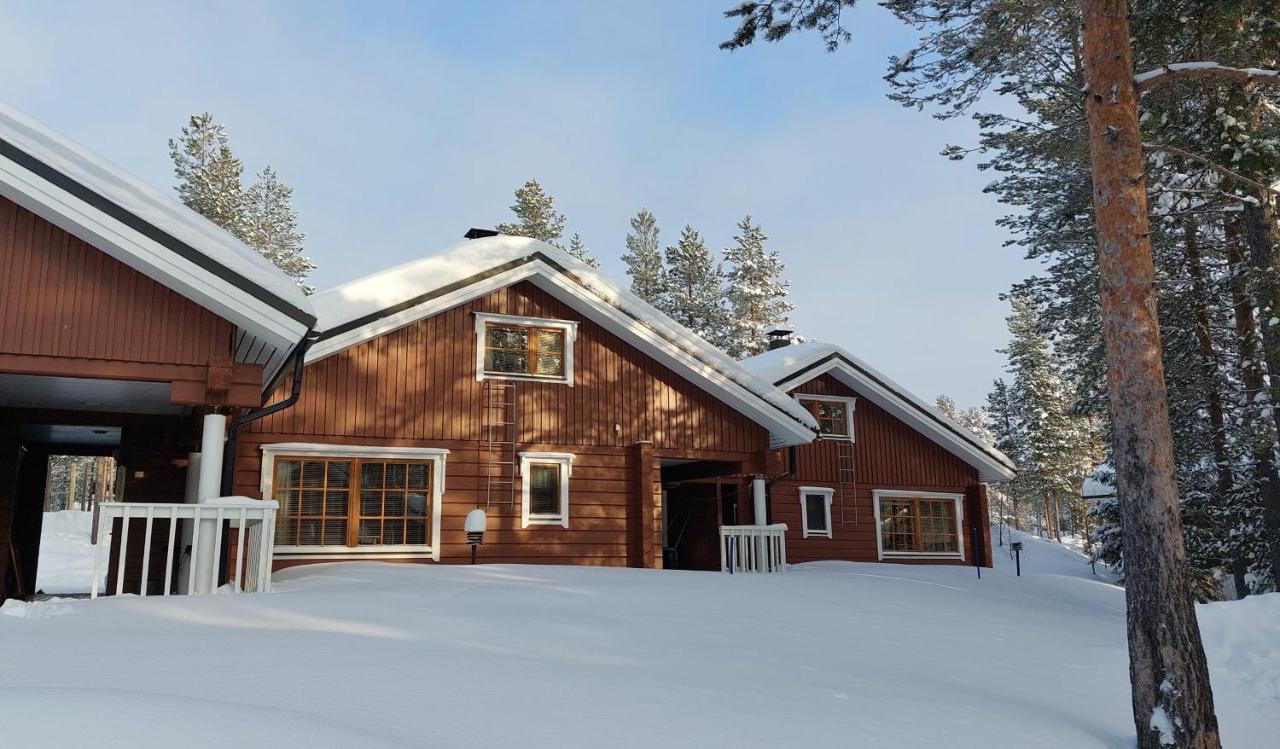 Villiporo Cabin 列维 外观 照片